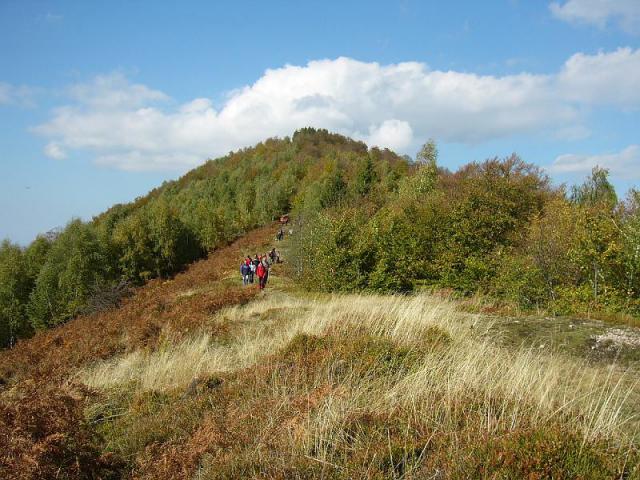 071007_13harasztosim