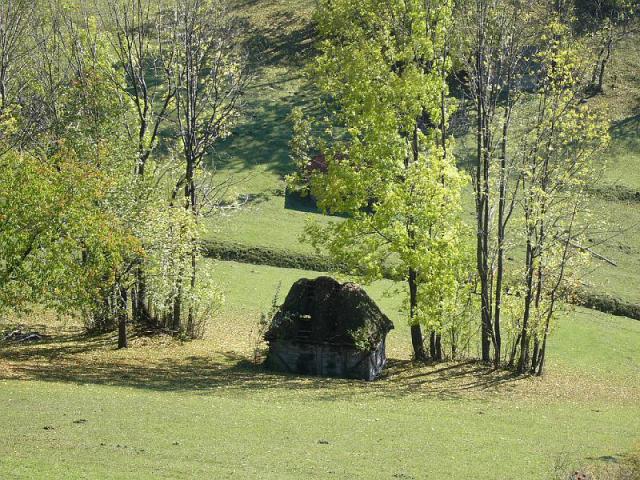 071007_21harasztosim