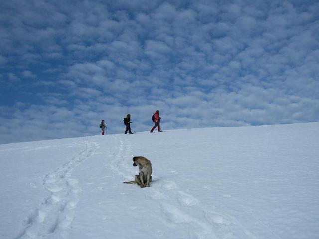 071124_11istenekh