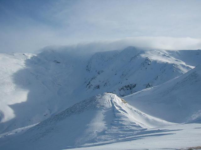 071208_05szarko