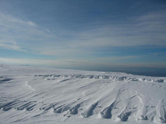071208_12szarko