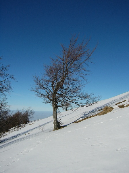 071222_12tatar