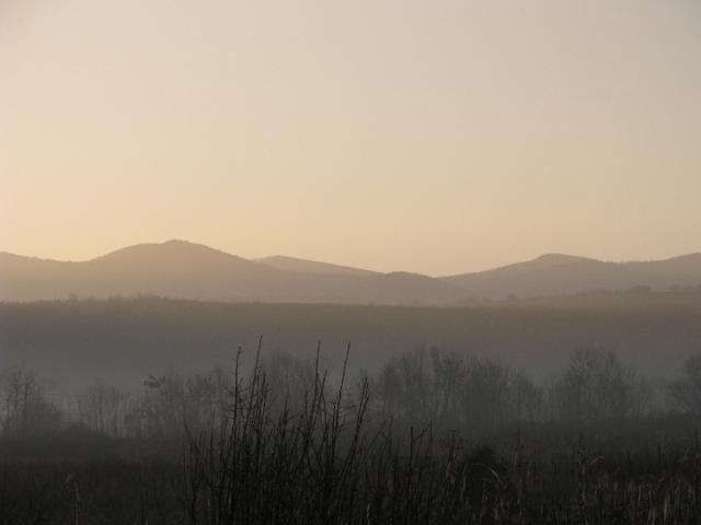 080119_05biharf_szanko