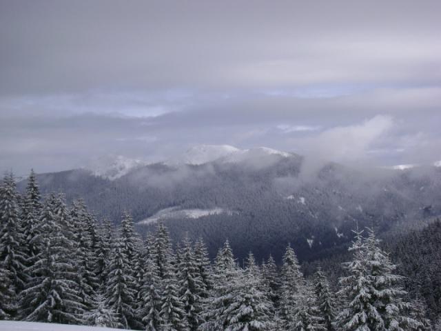 080119_15biharf_szanko