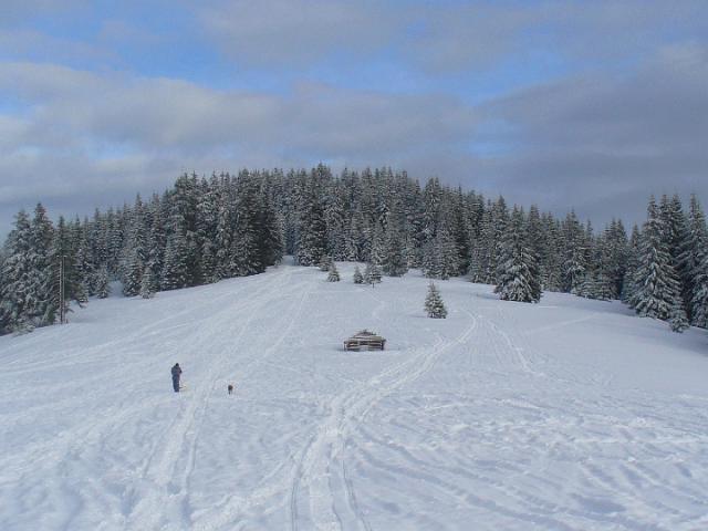 080119_25biharf_szanko