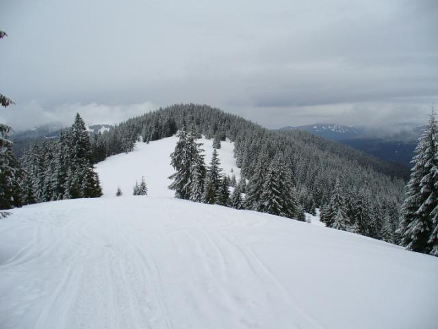 080119_43biharf_szanko