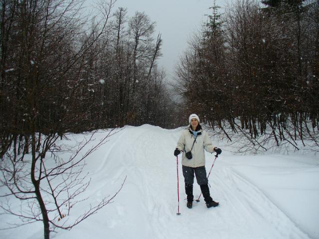 080119_44biharf_szanko