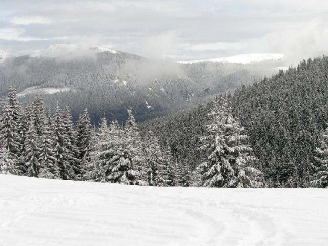 080119_59biharf_szanko