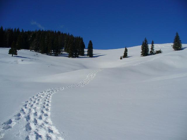 080216_31boga_padis