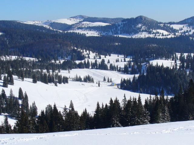 080216_33boga_padis