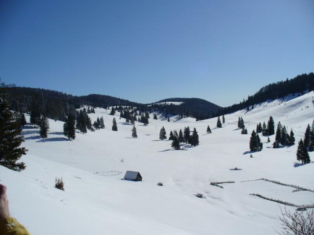 080216_40boga_padis