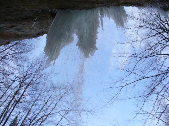 080216_48boga_padis