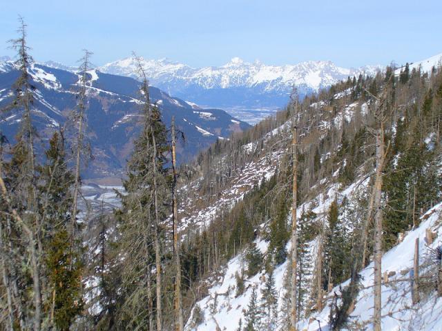 080221_08alpok