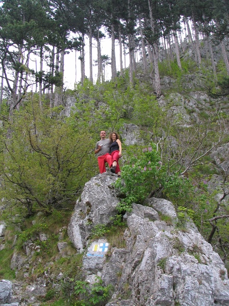 080430_02herkulesf