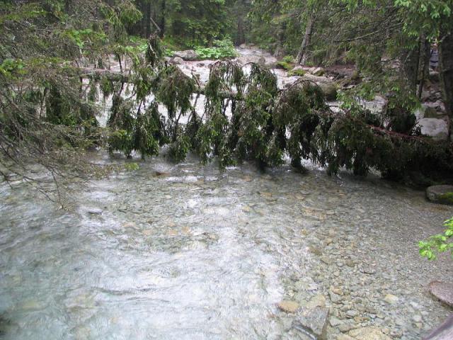 080717_05tatra