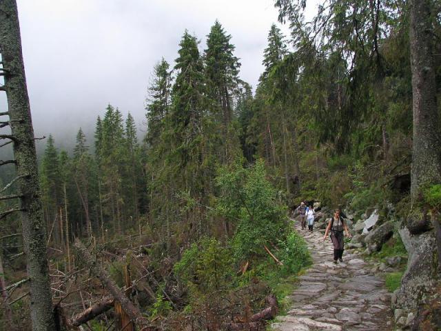 080717_06tatra