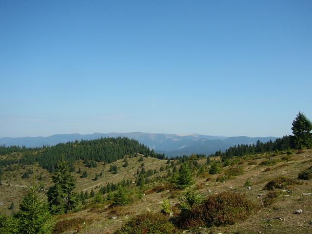 080906_06szegyesd