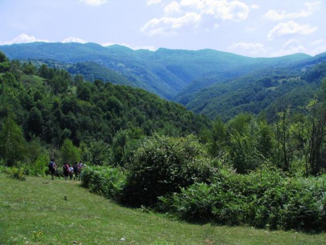 120630_szegyesd07