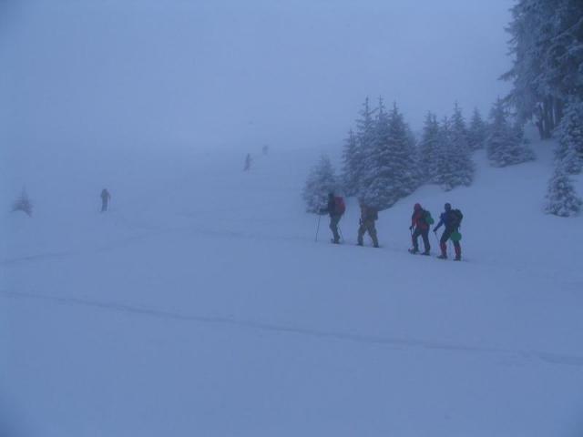 130208_szarko05