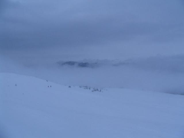 130208_szarko10