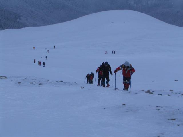 130208_szarko12
