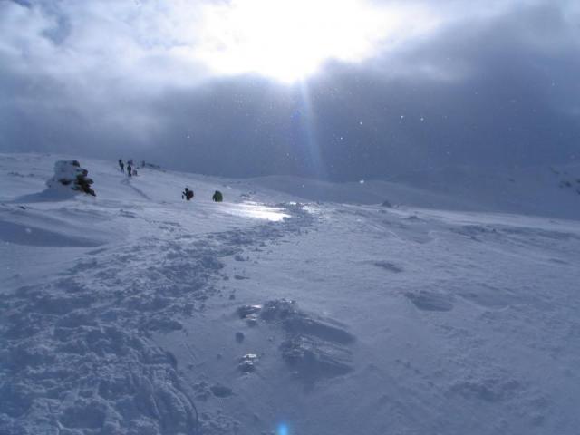 130208_szarko20