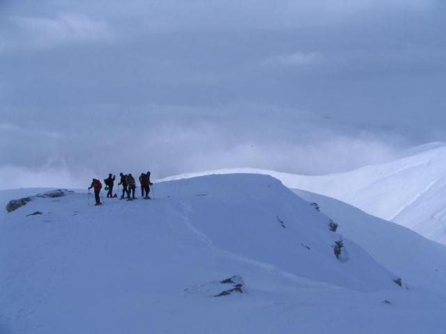 130208_szarko21