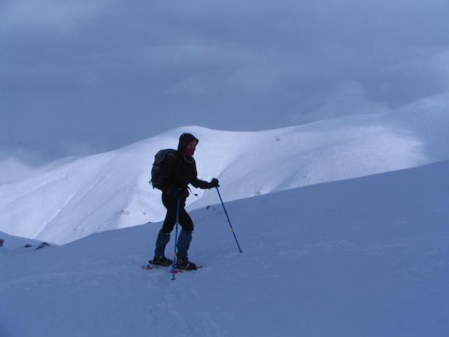 130208_szarko22