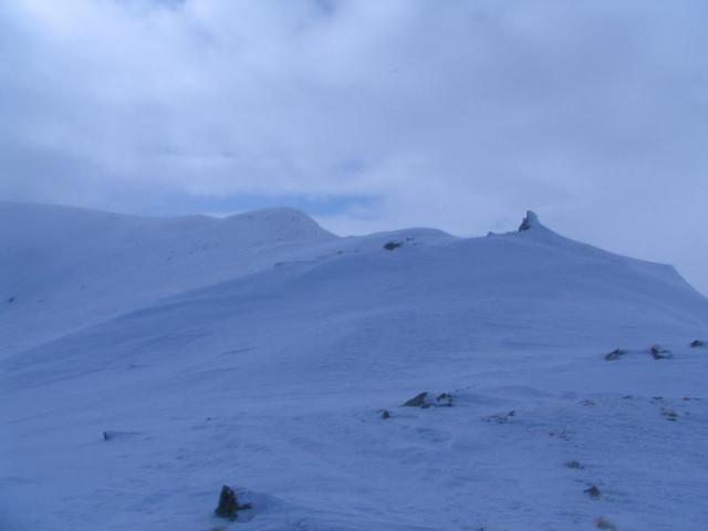 130208_szarko25