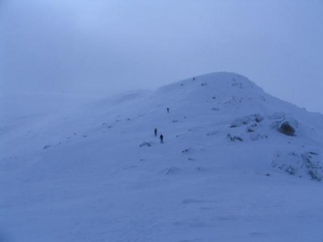 130208_szarko28