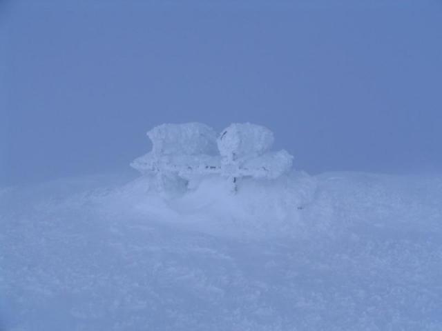 130208_szarko32