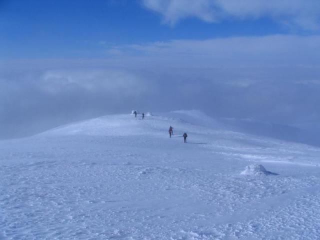 130208_szarko34