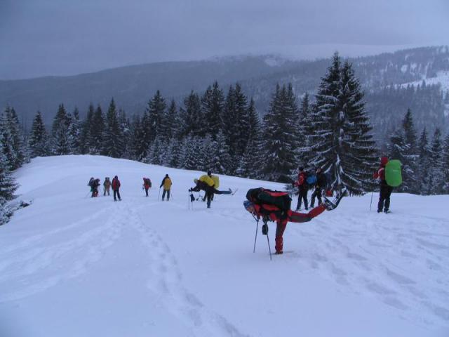 130208_szarko60