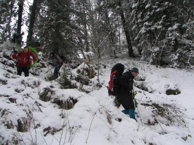 130208_szarko65