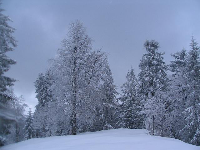 IMG_6735.JPG