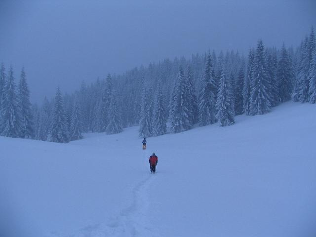 IMG_6766.JPG
