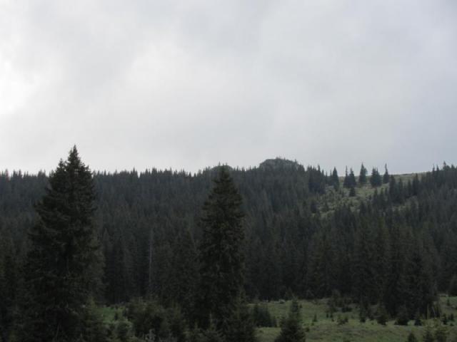 IMG_7713