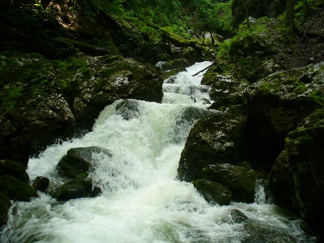 P1160253