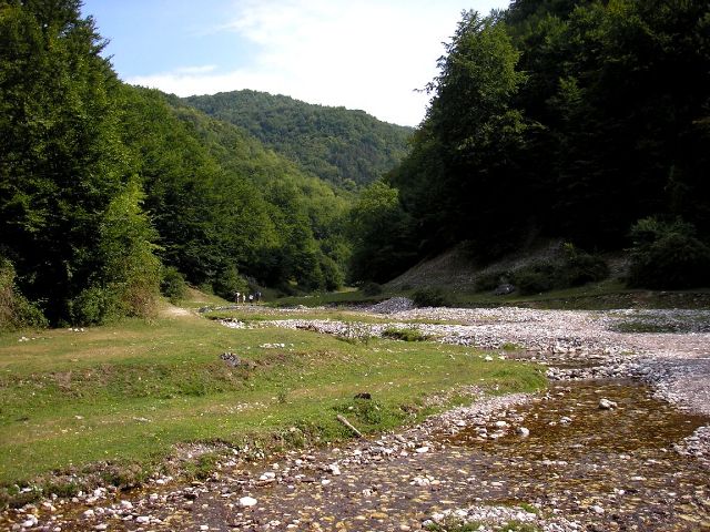 Szegyesd.jpg
