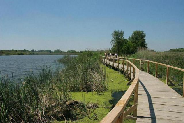 Tisza-tó.jpg