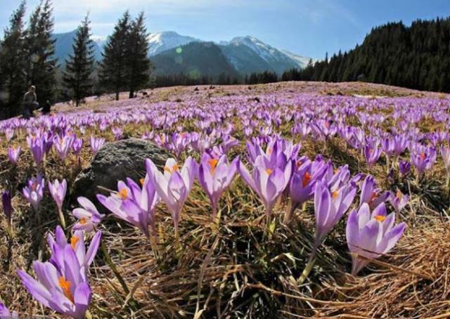 fotó: magas-tatra.info 